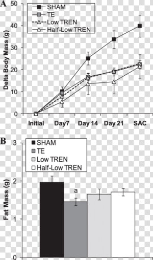 Dose Dependent Gains Testosterone Supraphysiological  HD Png Download