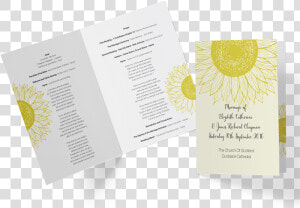 Document  HD Png Download