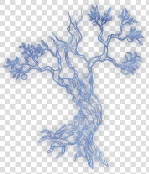 Tree Of Life Constellation Icon   Constellation Tree Of Life  HD Png Download