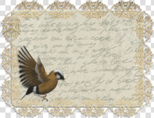 Journal Planner Png Vintage  Transparent Png