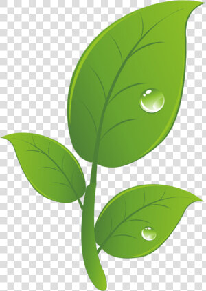 Hacked Android Clip Art   Leaf  HD Png Download