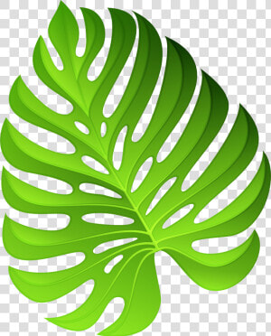 Exotic Green Plant Decoration Png Clipart Image   Png Clipart Plants Png  Transparent Png