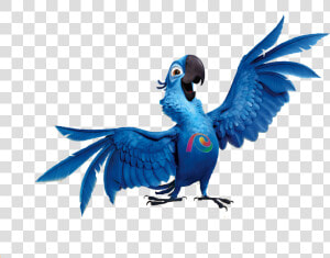 Bird Clipart Rio   Rio Png  Transparent Png