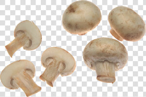 White Mushrooms Png Image   Mushroom Png  Transparent Png