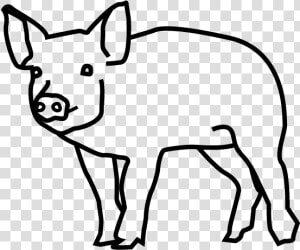 Domestic Pig  HD Png Download