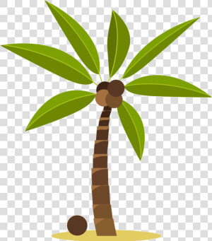 Related Image   Transparent Coconut Tree Gif  HD Png Download