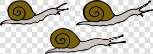 Clip Art Snails  HD Png Download