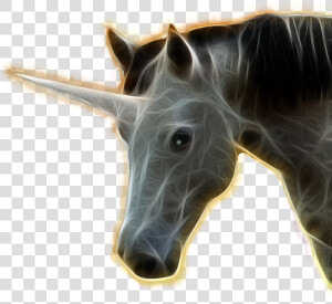 Mane  HD Png Download