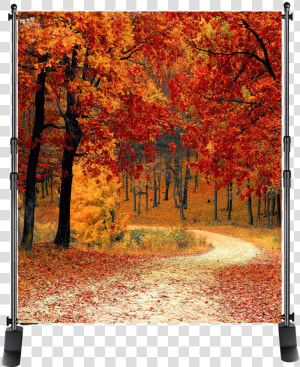 Photo Backgrounds From  100   Heart Lake Brampton Fall  HD Png Download