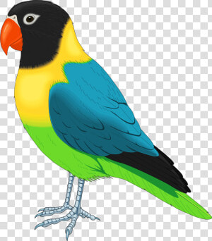 Bird Png   Realistic Bird Clipart  Transparent Png