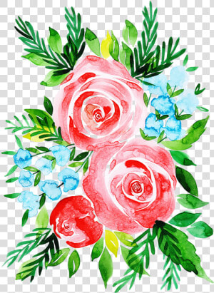 Floribunda  HD Png Download