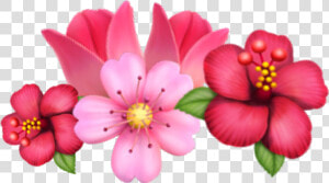 Transparent Cherry Blossom Emoji Png   Rose Android Flower Emoji  Png Download