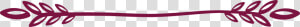 Floral Decorative Divider Png  Transparent Png