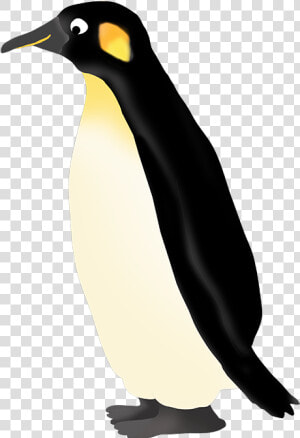 Transparent Emperor Png   King Penguin  Png Download