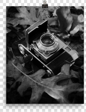 Still Life  HD Png Download