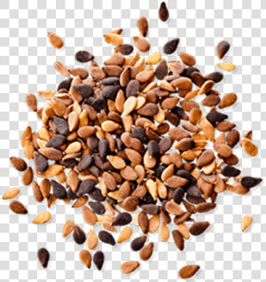 Sesame Seeds Png Pic   Sesame Seeds Png  Transparent Png