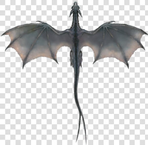 Flying Dragon Png   Game Of Thrones Dragon Png  Transparent Png