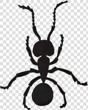 Illustration Of An Argentine Ant By Tikloh Bruno basaing 2c   Silhouette  HD Png Download