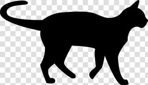 Transparent Black Cat Clipart   Transparent Background Black Cat Clipart  HD Png Download