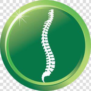 Chiropractic  HD Png Download
