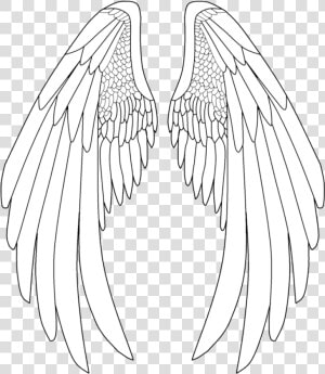 Elegant Drawing Angel Transparent   Anime Angel Wings Drawing  HD Png Download