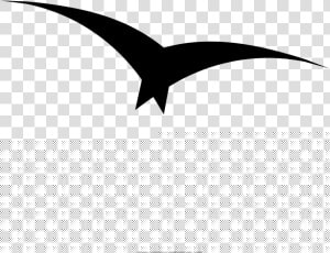 Seagull Coloring Page  HD Png Download