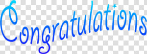  congratulations  blue  happy  winner  congrats   Cute Cat  HD Png Download