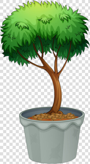 Arbustosfrutaflores En Macetaplantas   Flowering And Nonflowering Plants Cartoon  HD Png Download