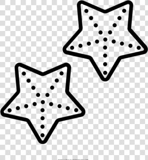 Estrella De Mar Página Para Colorear   Biologia Marina Dibujo  HD Png Download