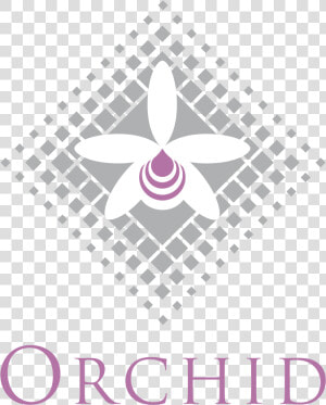 Orchid Biosciences Logo Png Transparent  Png Download