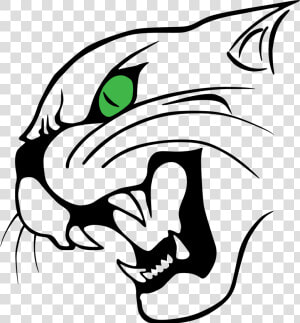 Gato  HD Png Download