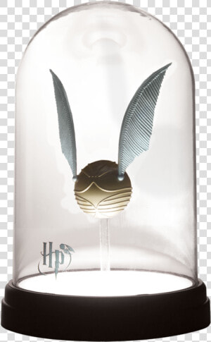 Harry Potter Merchandise  HD Png Download