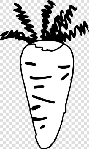 Carrot Black And White Cliparts   Carrot Black And White Clip  HD Png Download