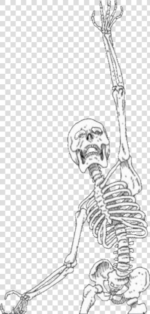 Skeleton Aesthetic   Png Download   Black And White Aesthetic Stickers  Transparent Png