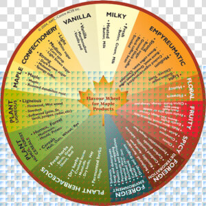 Ski S Sugar Shack Merrill Wi   Flavour Wheel  HD Png Download