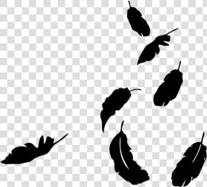 Transparent Falling Feathers Png  Png Download