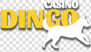 Dingo Casino Logo Png  Transparent Png