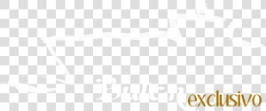 Ivory  HD Png Download