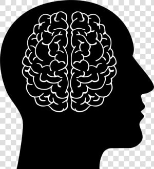 Human Brain Head Computer   Human And Brain Clipart  HD Png Download
