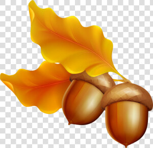 Transparent Autumn Leaves With Acornsfall Leaves Background   Acorns And Leaves Clipart  HD Png Download