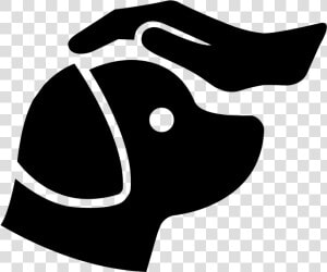 Bichon Frise  HD Png Download