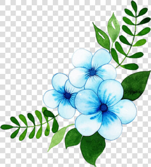 Rosa Glauca  HD Png Download