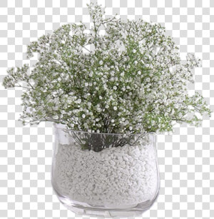 Baby Breath Flower Arrangement  HD Png Download