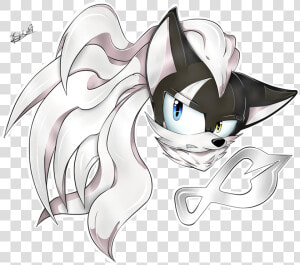 Jackal Png  Transparent Png