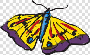Brush footed Butterfly  HD Png Download