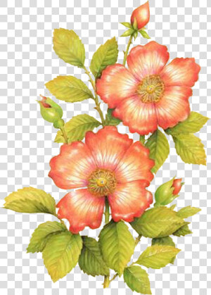Imagenes De Flores Para Decoupage  HD Png Download