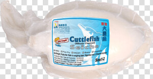 Cuttlefish Png  Transparent Png