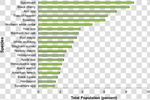 Tree Of Heaven Population  HD Png Download