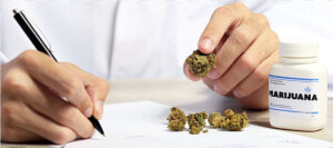 Cannabis Farmacia  HD Png Download
