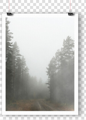 Foggyforest Mockup1  HD Png Download